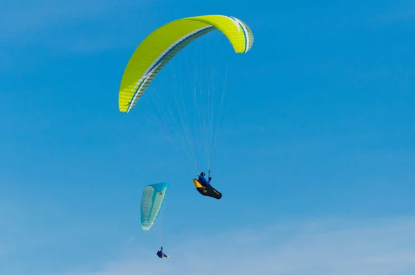 Tomsk, Sibirya, Rusya mavi gökyüzünde uçan paraşüt ile çevrelendiği