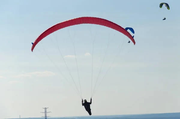 Paragliders Met Parachutes Vliegen Blauwe Hemel Tomsk Siberië Rusland — Stockfoto