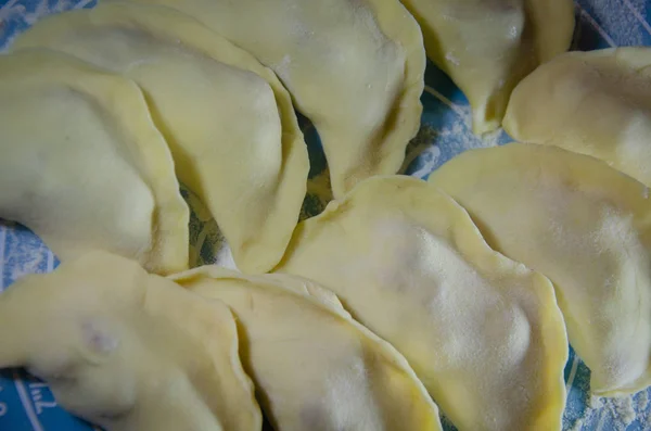 Στενή Θέα Χειροποίητων Dumplings Μπλε Χαρτοπετσέτα Από Καουτσούκ — Φωτογραφία Αρχείου