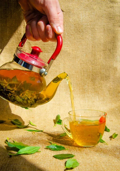 Menutup Pandangan Manusia Menuangkan Teh Herbal Yang Sehat Untuk Kesehatan — Stok Foto