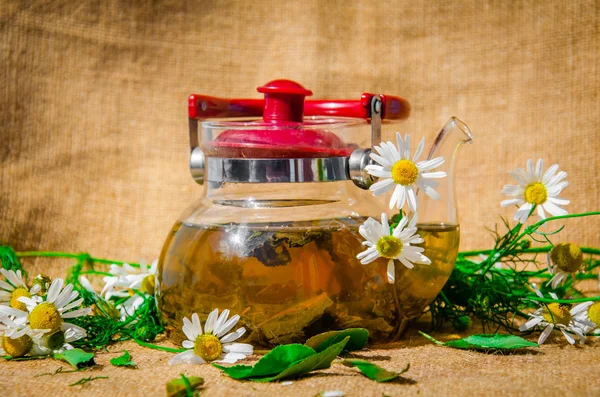 Papatya çayıyla rahatlatıcı