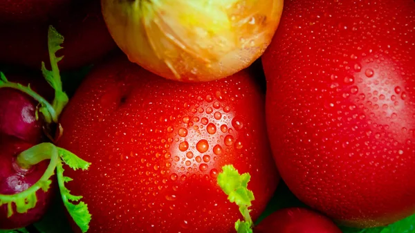 Sayuran Matang Tomat Merah Lada Bawang Bombay Lobak Pada Piring — Stok Foto