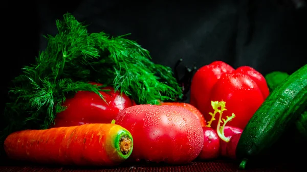 Gemüse Reife Rote Tomaten Paprika Dill Rettich Orange Karottengurke Auf — Stockfoto