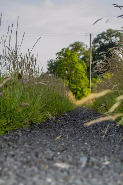 Route Vers Campagne Avec Des Arbres — Photo