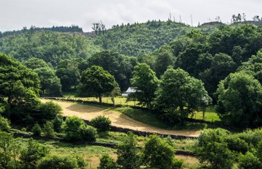 Tepelerin ve Dağların Üzerindeki Ağır Bulutlar