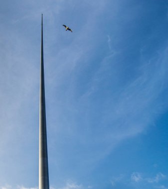 Mavi gökyüzündeki kuş