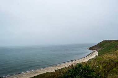 Deniz Kıyısı Bir Yaz Günü