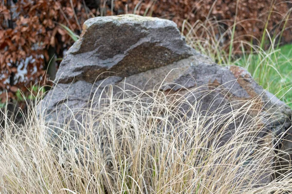 Μεσαία Υφή Κόκκου Πέτρα Ογκόλιθο — Φωτογραφία Αρχείου