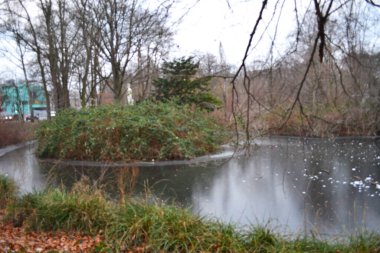 Kış Parkı 'nda Yansımalı Donmuş Gölet