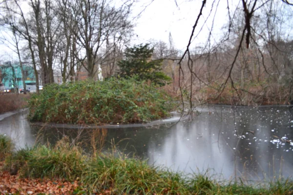 Frozen Pond Reflections Winter Park — Stock Photo, Image