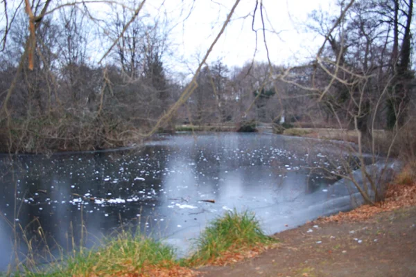 Gefrorener Teich Mit Spiegelungen Winterpark — Stockfoto