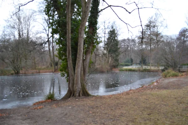 Lagoa Congelada Com Reflexos Parque Inverno — Fotografia de Stock