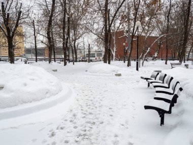 Bankları ve ağaçları olan bir parkta kışın kar yağar