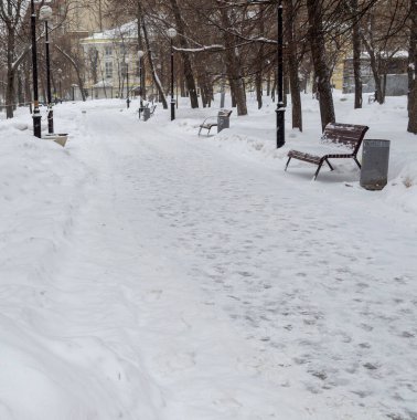 Bankları ve ağaçları olan bir parkta kışın kar yağar