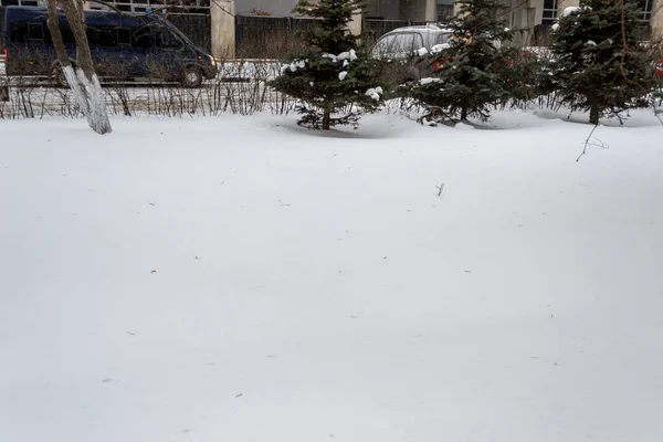 Biały Puszysty Śnieg Zimie — Zdjęcie stockowe