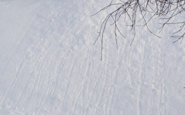 Kışın Kar Altında Ağaç Dalları Açık Mavi Gökyüzü Arkaplanına Karşı
