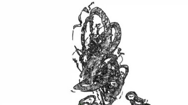 Güzel Pembe Parlak Konfeti Çelenkleri