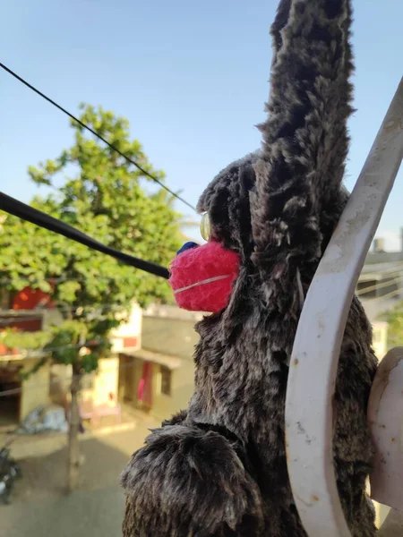 Siyah maymun ve içi doldurulmuş oyuncak Bokeh Bulanıklığında balkonda asılı duruyor.