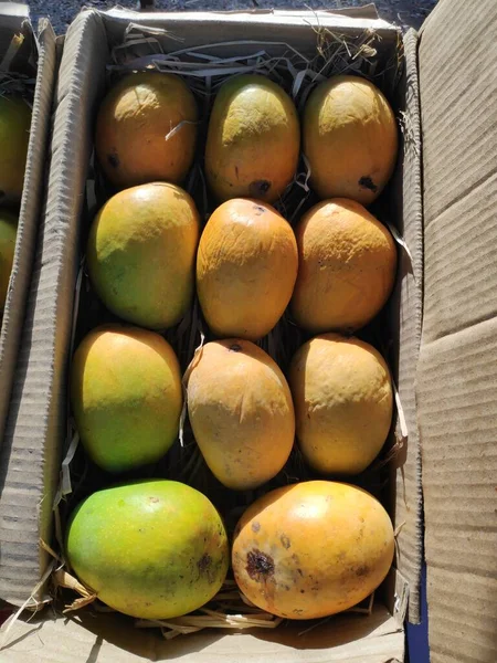 Bir grup sarı yeşil alfanso mango yakındaki şehirlere satılmak üzere paketlendi.