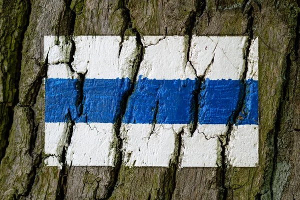 Mavi Avrupa yürüyüş yolu ile boyanmış ağaç kabuğu.
