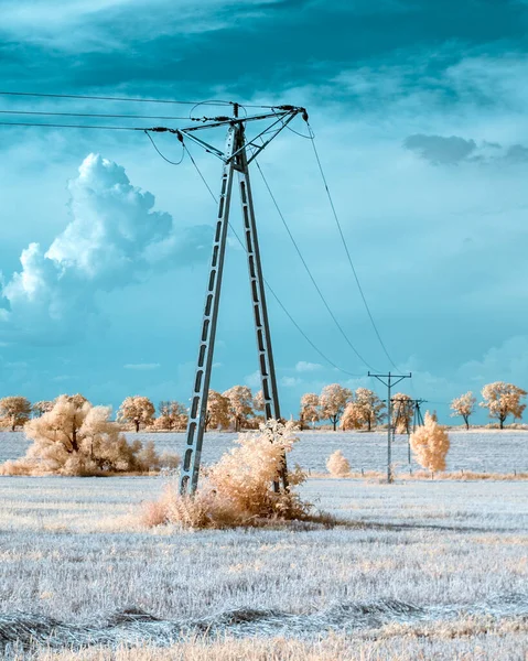 Yakın zamanda hasat edilen alanın elektrik hatları. Kızılötesi 610 nm görüş açısı size mavi manzarada altın ağaçlar verir.