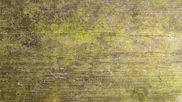 Yeşil yosunlarla kaplı eski ahşap arkaplan