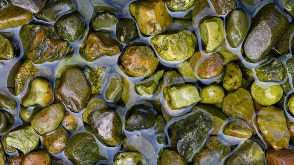 Smooth river stones drenched in water. Green algae and lichens growing over smooth stone surface in forest stream. Riverside travel trip in woods.