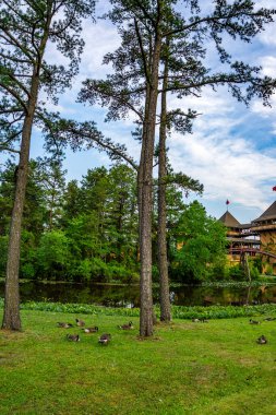 JACKSON TOWNGeIP - Haziran 2016: Six Flags Great Adventure 'da eğlenen konuklar ünlü bir lunapark. Six Flags Great Adventure, Six Flags tarafından işletilen ve Jackson, New Jersey 'de bulunan bir lunapark..