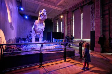 Tyrannosaurus Rex 'i hareket ettiriyorum. Doğal Tarih Müzesi 'nin içi. 1881 yılında kurulan müze, dünyanın dört bir yanından 80 milyon parçaya ev sahipliği yapıyor. Londra, İngiltere, İngiltere.
