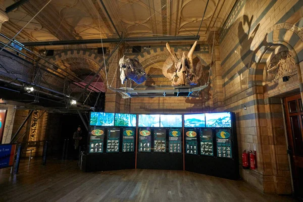 Внутренний Вид Музея Естественной Истории Основанный 188 Году Музей Насчитывает — стоковое фото