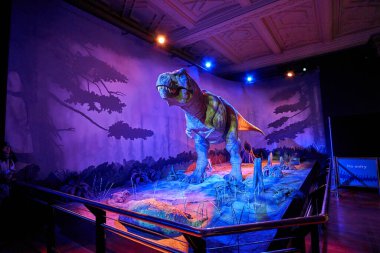 Tyrannosaurus Rex 'i hareket ettiriyorum. Doğal Tarih Müzesi 'nin içi. 1881 yılında kurulan müze, dünyanın dört bir yanından 80 milyon parçaya ev sahipliği yapıyor. Londra, İngiltere, İngiltere.