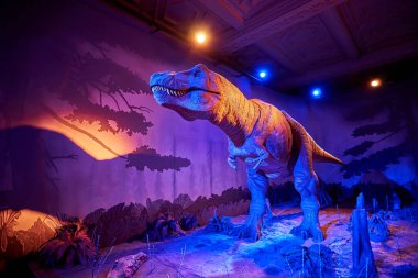 Tyrannosaurus Rex 'i hareket ettiriyorum. Doğal Tarih Müzesi 'nin içi. 1881 yılında kurulan müze, dünyanın dört bir yanından 80 milyon parçaya ev sahipliği yapıyor. Londra, İngiltere, İngiltere.