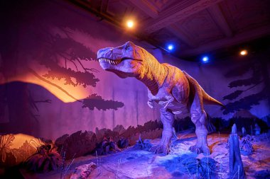 Tyrannosaurus Rex 'i hareket ettiriyorum. Doğal Tarih Müzesi 'nin içi. 1881 yılında kurulan müze, dünyanın dört bir yanından 80 milyon parçaya ev sahipliği yapıyor. Londra, İngiltere, İngiltere.