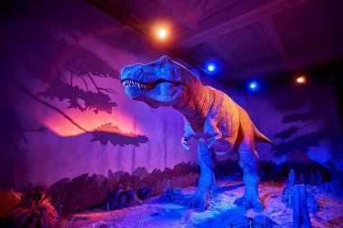 Tyrannosaurus Rex 'i hareket ettiriyorum. Doğal Tarih Müzesi 'nin içi. 1881 yılında kurulan müze, dünyanın dört bir yanından 80 milyon parçaya ev sahipliği yapıyor. Londra, İngiltere, İngiltere.