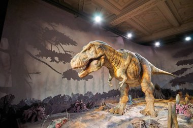 Tyrannosaurus Rex 'i hareket ettiriyorum. Doğal Tarih Müzesi 'nin içi. 1881 yılında kurulan müze, dünyanın dört bir yanından 80 milyon parçaya ev sahipliği yapıyor. Londra, İngiltere, İngiltere.