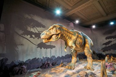 Tyrannosaurus Rex 'i hareket ettiriyorum. Doğal Tarih Müzesi 'nin içi. 1881 yılında kurulan müze, dünyanın dört bir yanından 80 milyon parçaya ev sahipliği yapıyor. Londra, İngiltere, İngiltere.