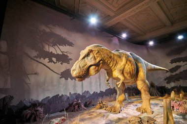 Tyrannosaurus Rex 'i hareket ettiriyorum. Doğal Tarih Müzesi 'nin içi. 1881 yılında kurulan müze, dünyanın dört bir yanından 80 milyon parçaya ev sahipliği yapıyor. Londra, İngiltere, İngiltere.