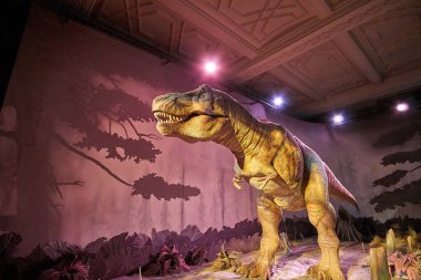 Tyrannosaurus Rex 'i hareket ettiriyorum. Doğal Tarih Müzesi 'nin içi. 1881 yılında kurulan müze, dünyanın dört bir yanından 80 milyon parçaya ev sahipliği yapıyor. Londra, İngiltere, İngiltere.