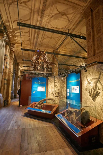 Interior View Natural History Museum Established 188 Museum Houses Million — Stock Photo, Image