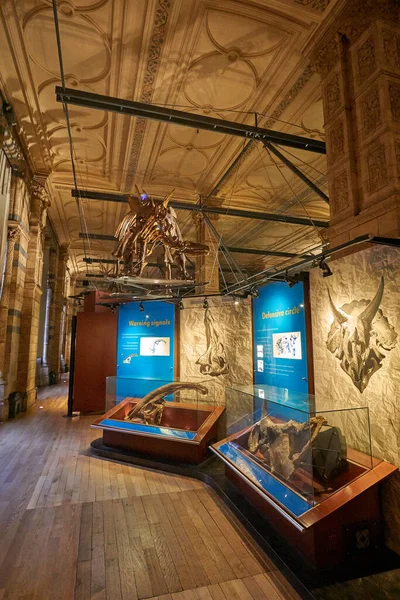 Interiérový Pohled Přírodovědecké Muzeum Muzeum Bylo Založeno Roce 188 Sídlí — Stock fotografie