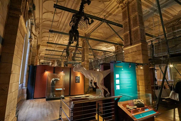 Interiérový Pohled Přírodovědecké Muzeum Muzeum Bylo Založeno Roce 188 Sídlí — Stock fotografie