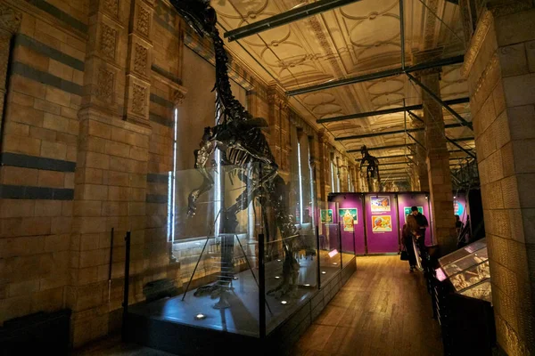 Interior View Natural History Museum Established 188 Museum Houses Million — Stock Photo, Image