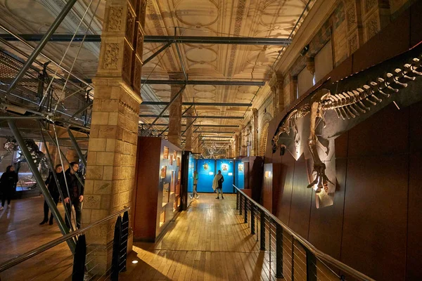 Vista Interior Museu História Natural Fundado 188 Museu Abriga Milhões — Fotografia de Stock