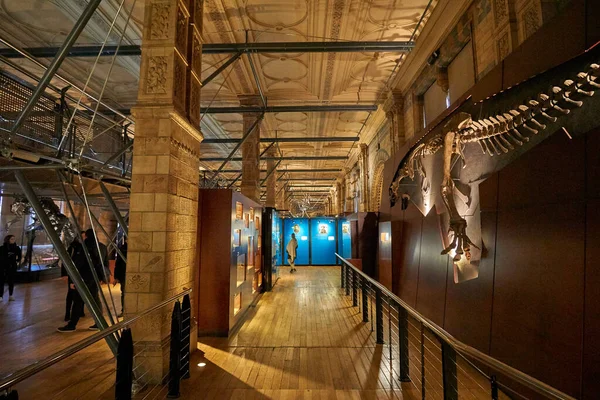 Innenansicht Des Naturhistorischen Museums Das 188 Gegründete Museum Beherbergt Millionen — Stockfoto