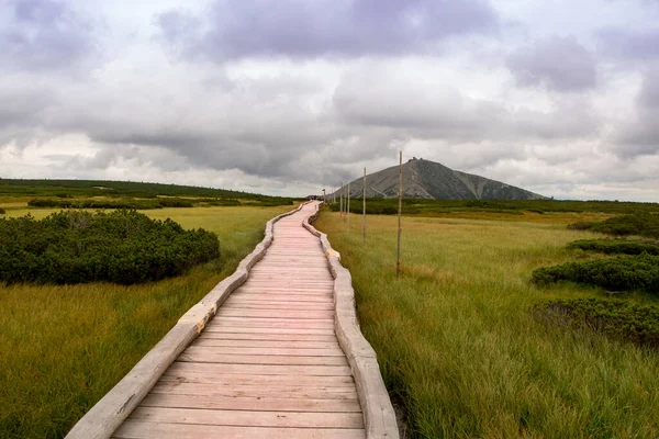 Upske Raseliniste Pohled Snezku Upske Raseliniste Vista Snezka — Fotografia de Stock