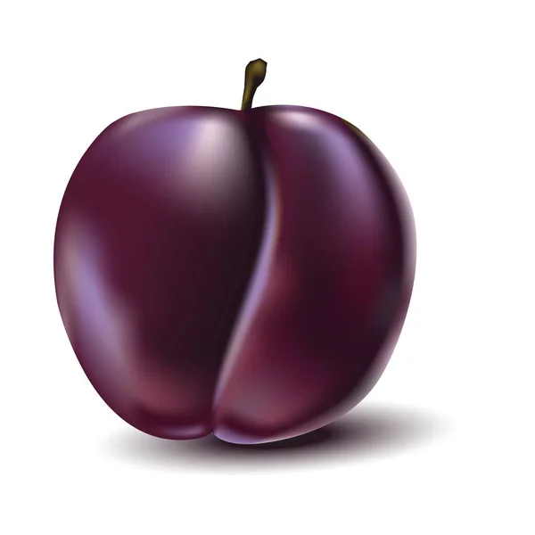 Couleurs Violet Prune Violet Rubis Réalistes Avec Une Ombre Réflexe — Image vectorielle