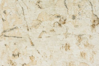 Çizik ve çatlaklarla dolu bir duvar parçası.