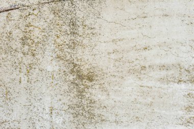 Çizik ve çatlaklarla dolu bir duvar parçası.