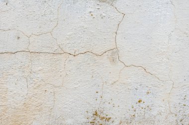 Texture.Wall. BT arka plan olarak kullanılabilir