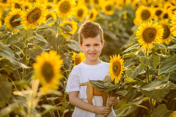 Vackra Barn Med Solros Sommaren Sätter — Stockfoto